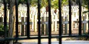 المقبرة الفرنسية - جمال منصور