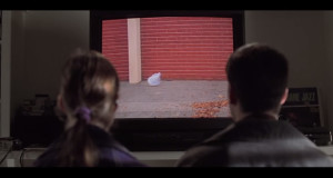 لقطة من فيلم American Beauty. عن يوتيوب