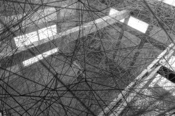 طلال بو خضر